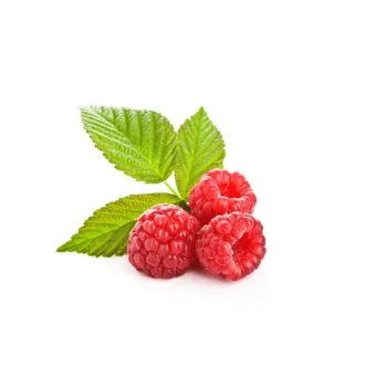 FLAVOR RASPBERRY ( ESSÊNCIA CONCENTRADA )