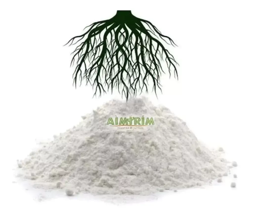 Enraizador AIB 1000 ppm - 100 g Imagem