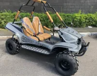 Mini Buggy Fapinha Cross Evo - Foto 6