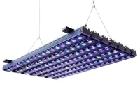 Barra de Iluminação ORPHEK 60 Blue Plus OR3 - Foto 3