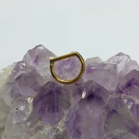 Argola D em Titânio PVD GOLD LISA Clicker 1.2mm x 08mm TIT23 - Foto 2