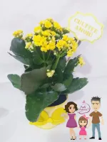 G1.242 Gabarito de Moldes  em MDF Vasinhos Violetas - Foto 9