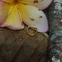 Argola Clicker D LISO em  TITÂNIO PVD GOLD 08mm  555 - Foto 2