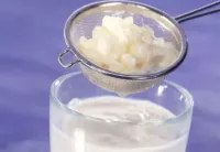 Doação de KEFIR DE LEITE - Bichinho do Iogurte - Foto 4