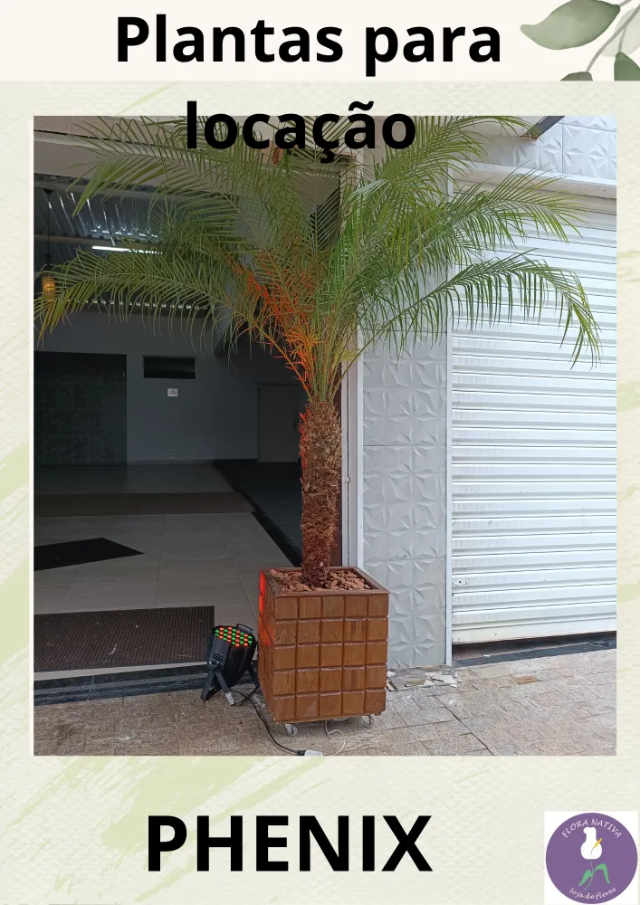 PLANTAS PARA LOCAÇÃO Imagem