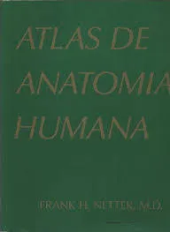 ATLAS DE ANATOMIA HUMANA (PRODUTO USADO - MUITO BOM)