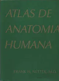 ATLAS DE ANATOMIA HUMANA (PRODUTO USADO - MUITO BOM)