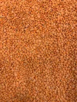 LENTILHA VERMELHA PARTIDA ZEENNY