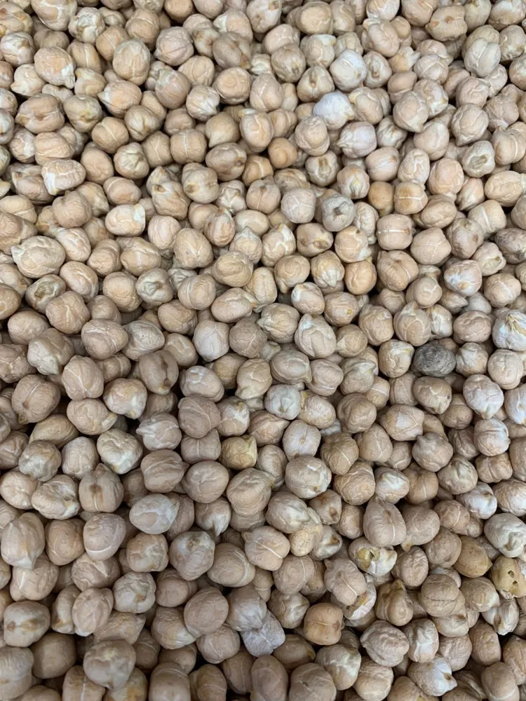 GRAO DE BICO Nº 9 MM 200G Imagem