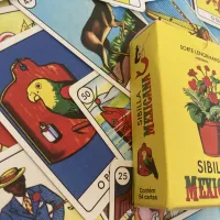Sibilla Mexicana - Foto 6