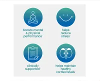 Ashwagandha (Ginseng Indiano) Youtheory® 60 Vegetariano Capsulas Original + Frete Grátis - Foto 5