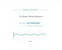 Ashwagandha (Ginseng Indiano) Youtheory® 60 Vegetariano Capsulas Original + Frete Grátis - Foto 6