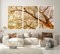 Trio Árvore  - Foto 2