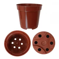 1000 Mini Vasos Pote 6 - Marrom - Foto 4
