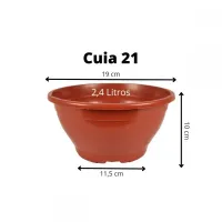 10 Vasos Cuia 21