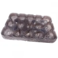 10 Cartelas Plásticas Suporte Para Mini Vasos Pote 6 De Suculentas - Foto 2