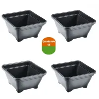 25 Vasos quadrado 13 x 13 - Preto