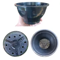 20 Vasos Cuia 17 para suculentas - Preto - Foto 2