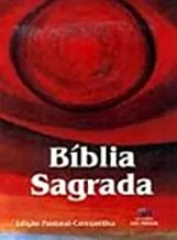 BIBLIA SAGRADA PASTORAL CATEQUETICA POPULAR (PRODUTO USADO - MUITO BOM)