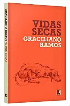 VIDAS SECAS (PRODUTO USADO - COMO NOVO)