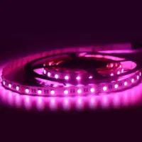 Fita LED 5050 ROSA 12v rolo 5 metros 12v (sem silicone)