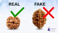 ESGOTADO! Pulseirinhas OM Rudraksha - Foto 3