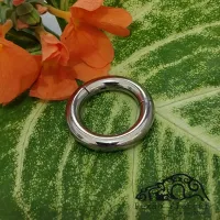 Argola Segmento Clicker em TITÂNIO 04mm / 05mm 547 - Foto 2