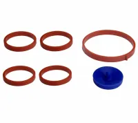 Diafragma do Coletor de Admissão Audi A3 1.6  2001 2002 2003 2004 2005 2006  28.7mm