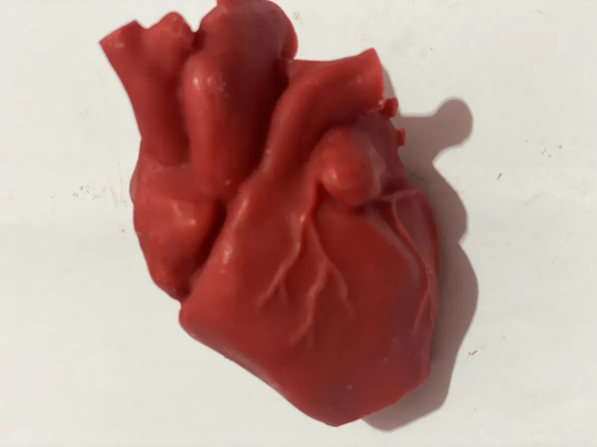 Vela coração humano