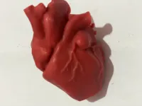 Vela coração humano