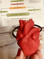 Vela coração humano - Foto 3