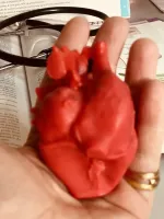 Vela coração humano - Foto 4