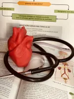 Vela coração humano - Foto 6