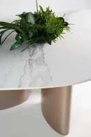 Mesa de Jantar Orgânica Arraia - Foto 7