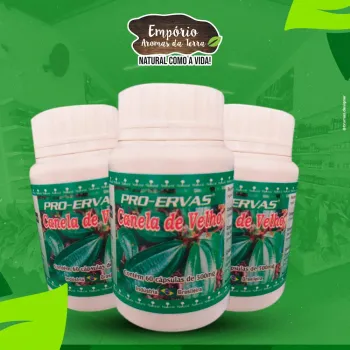 Canela de Velho