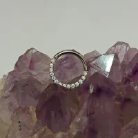 Argola Slim em Titânio CRAVEJADA ZIRCONIA FRONTAL Clicker 1.2mm TIT18 - Foto 2