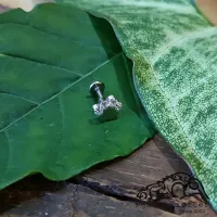 Labret em TITÂNIO PATA PET com Pedras 534 - Foto 2