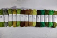 Conjunto 14 Cores Tons Verde 