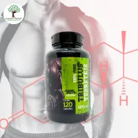 TRIBULLUS TERRESTRIS 500MG 120 CÁPSULAS NATUVITE 90% SAPONINAS - Foto 2