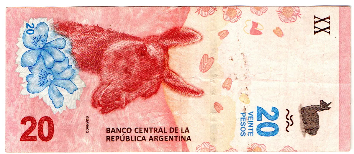 Argentina - 20 Pesos - Cédula Estrangeira - MBC