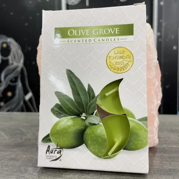 Vela Aura Olive Grove C/6