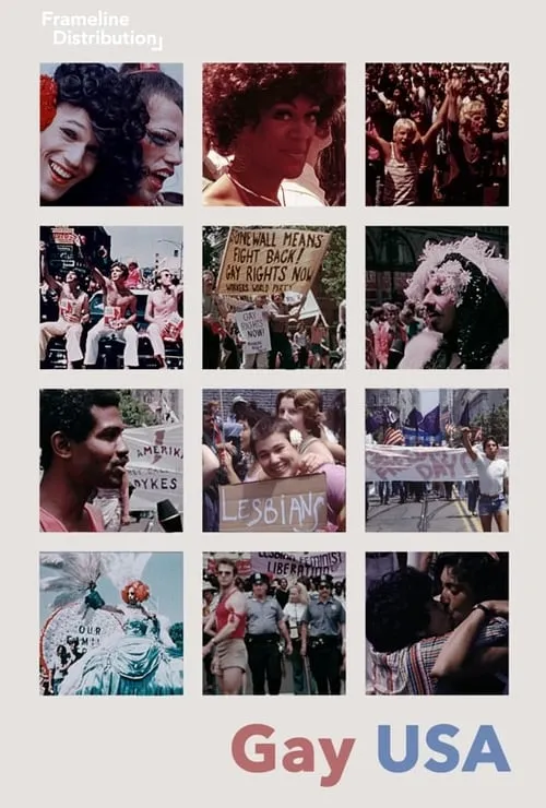 Gay USA (1977) Arthur J. Bressan Jr. DVD - legendas em português