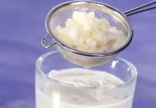 Doação de KEFIR DE LEITE