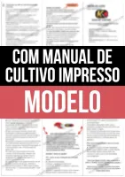 Doação de KEFIR DE LEITE - Foto 3