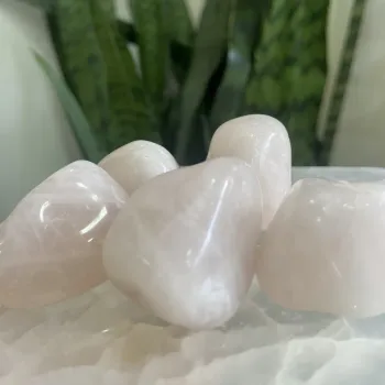 Quartzo Rosa Rolado Médio - Unidade