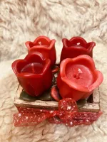 Kit Tulipa 