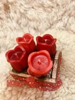 Kit Tulipa  - Foto 3
