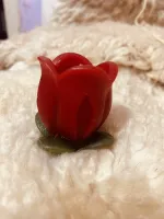 Kit Tulipa  - Foto 4
