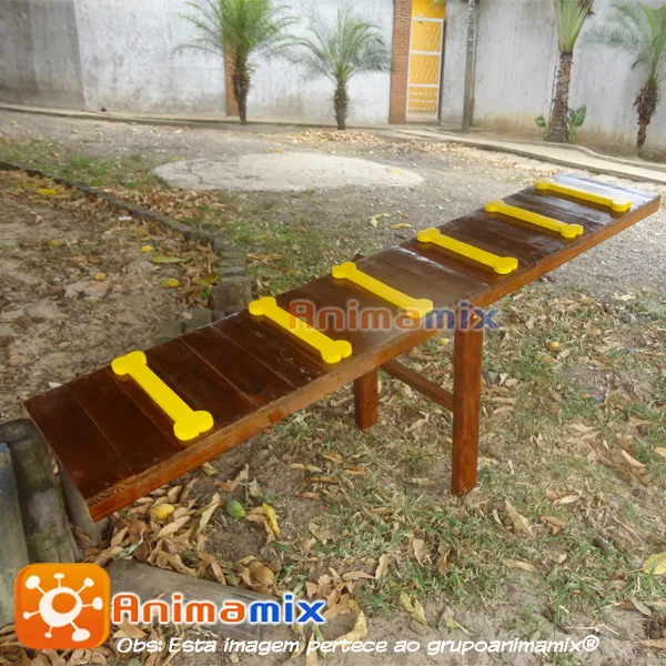 Gangorra Ossinhos Média  Petplace