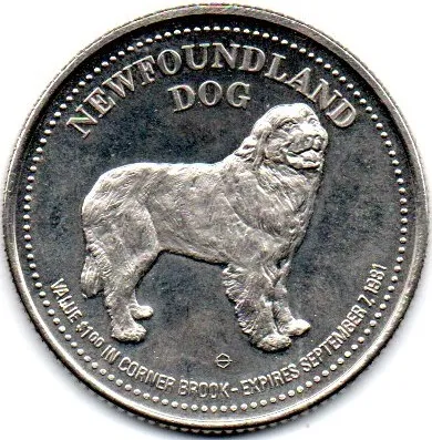 Ficha - Newfoundland - Dog - 1981